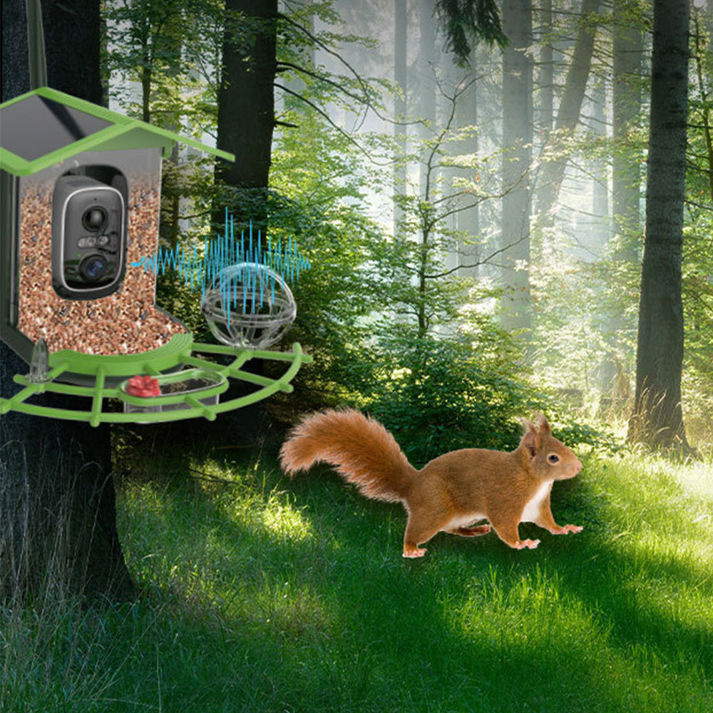 Outdoor Solar Powered Waterproof Bird Feeder with Camera for Garden