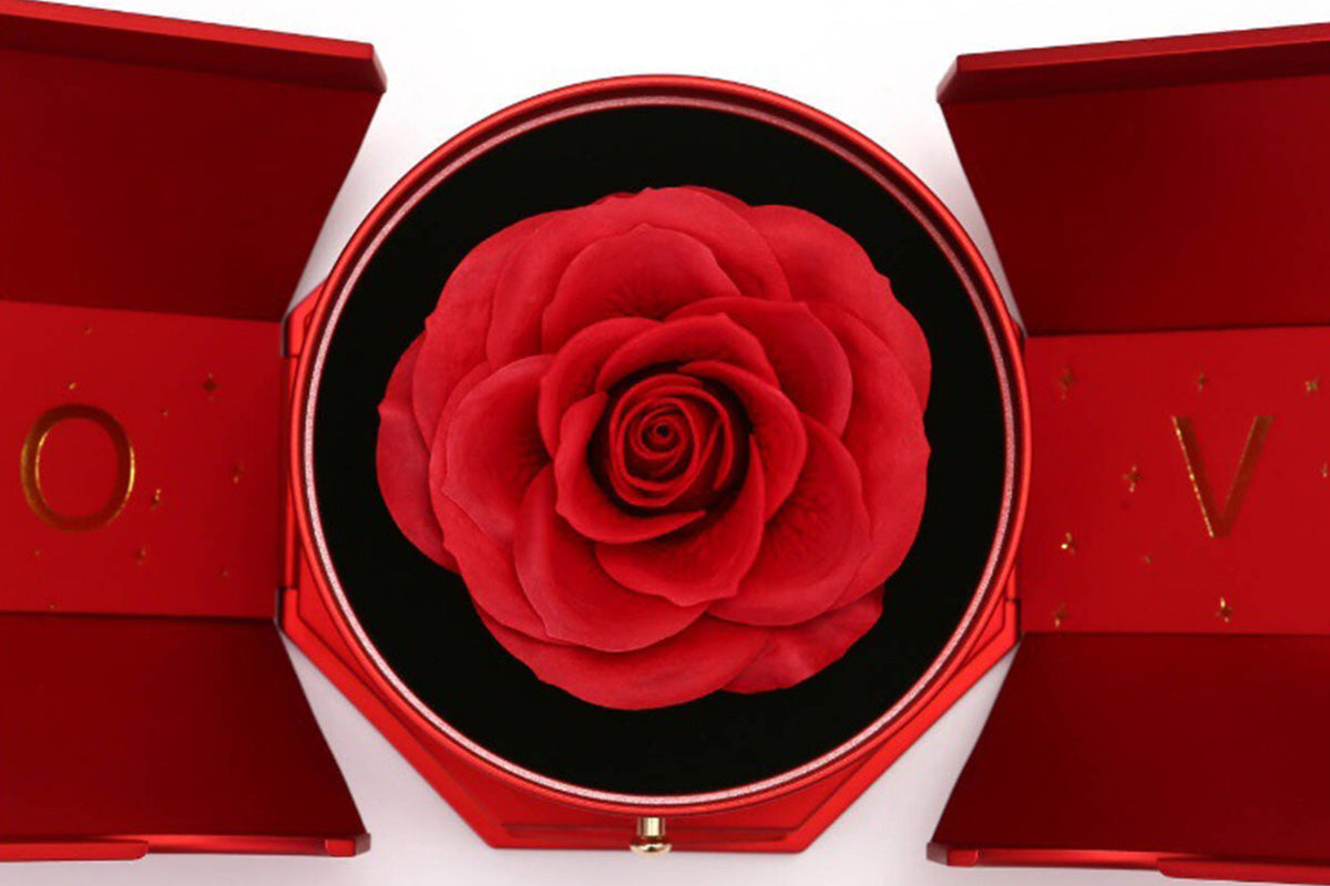 Eternal Rose Flower with Necklace Preserved Rose Necklace in Box-Silver