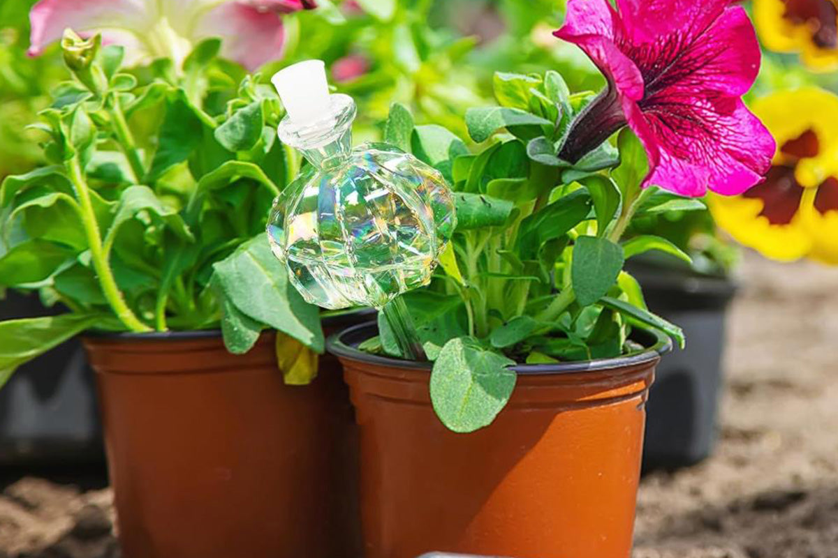 4Pcs Self Watering Globes Automatic Plant Watering Stakes for Indoor Outdoor Potted Plants-Iridescent