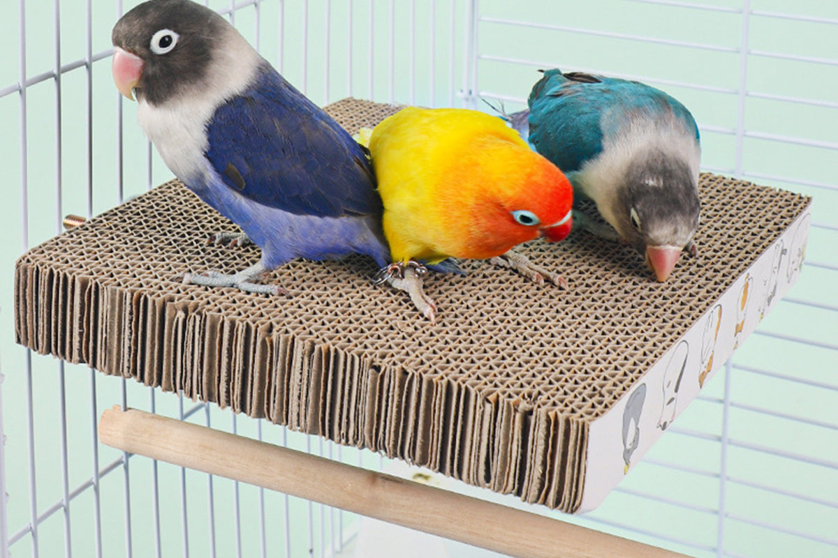 Parrot Toys Bird Perch Stand Cardboard Anti-bite Hair Grinding Pad Bird Cage Accessories