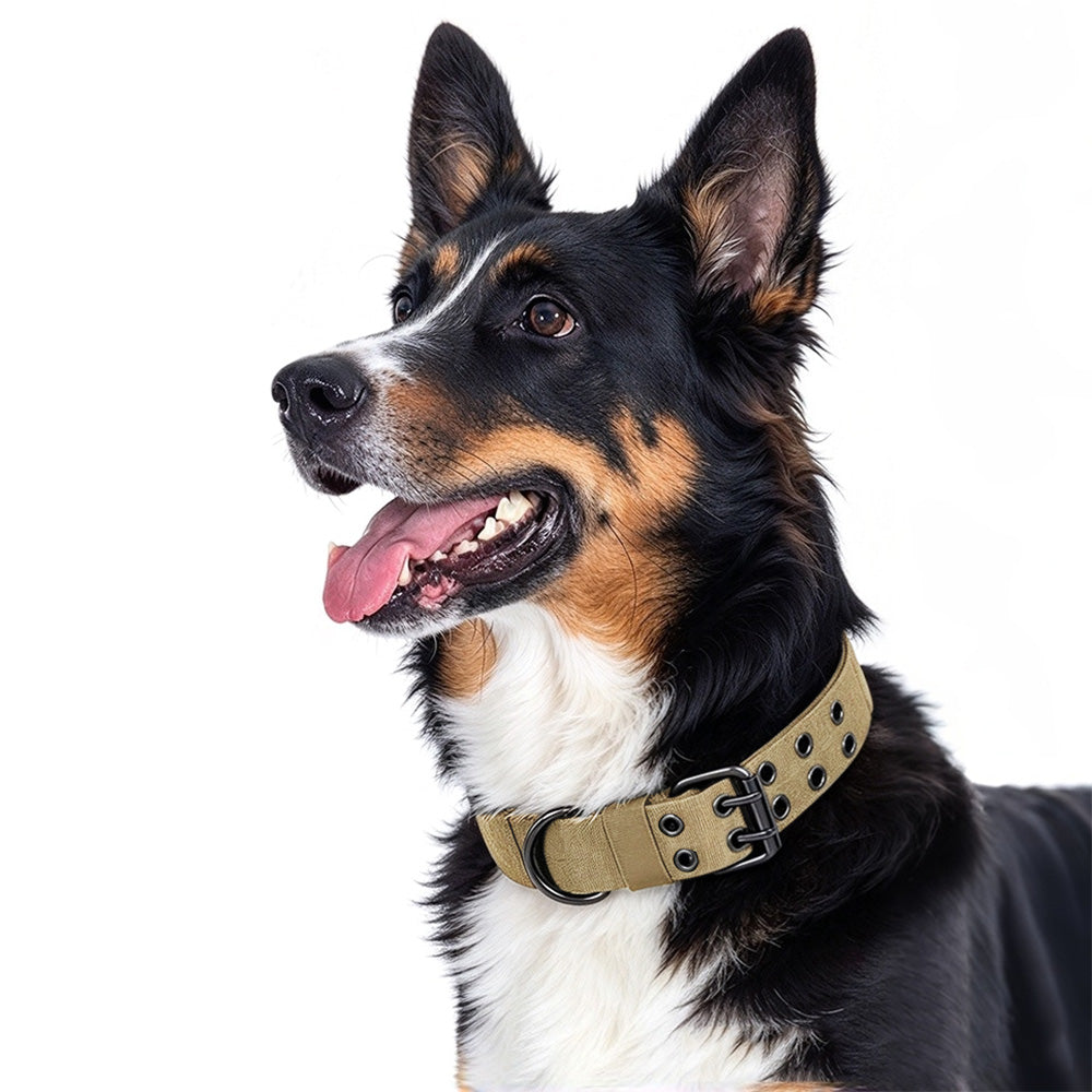 Adjustable Padded Nylon Dog Collar and Leash Set for Large Dogs - Khaki