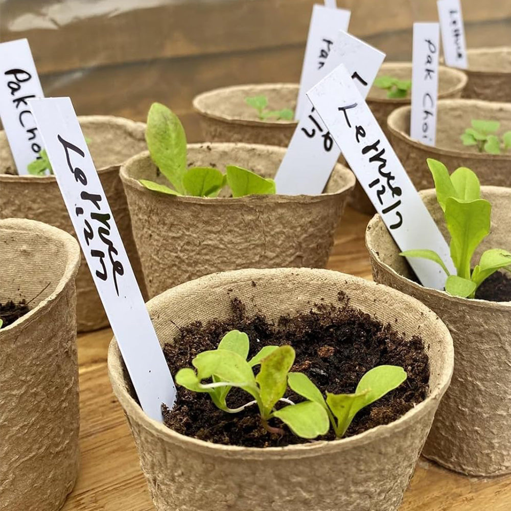 300PCS 10x2CM Plant Labels White Plastic Garden Tray Pot Plug Stick ID Marker Name Tag