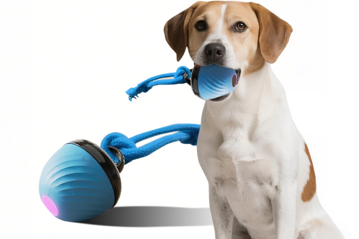 Squeaky Dog Toy Active Rolling Ball Interactive Dog Toys Motion Activated-Blue