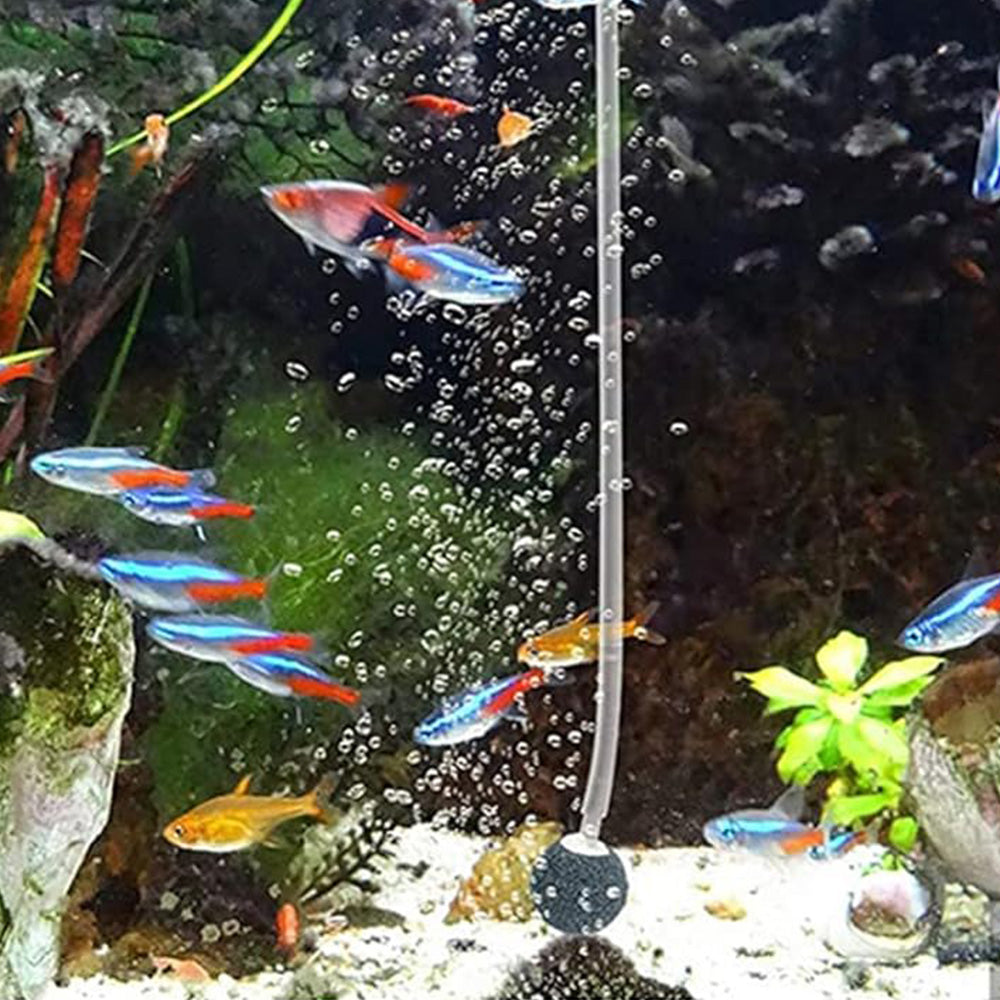 Solar Oxygenator Aquarium Oxygen Aerator Air Pump Fishing Aerator with Pipe for Garden Fish Tank Outdoor Pool Pond