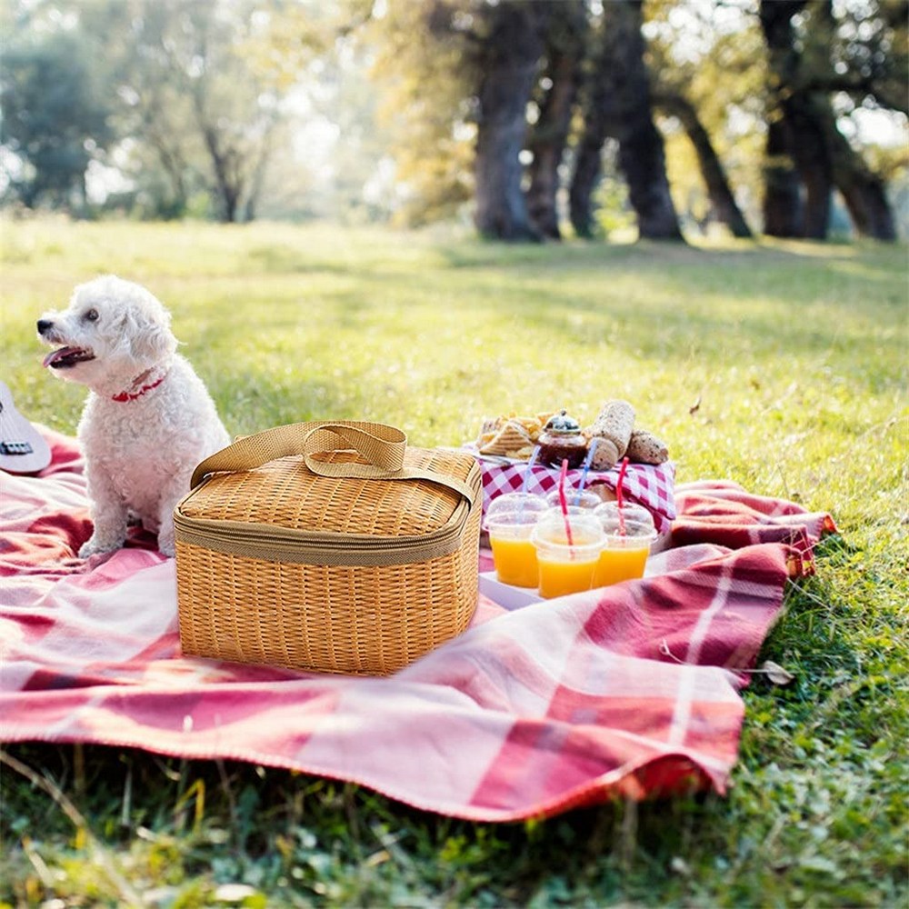 2Pcs Imitated Rattan Insulated Thermal Lunch Box Bags Picnic Basket