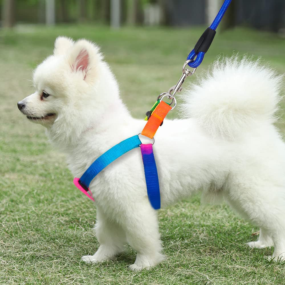 Pet Harness Pet Collar with Leash Set Dog Walking Vest for Cat Puppy