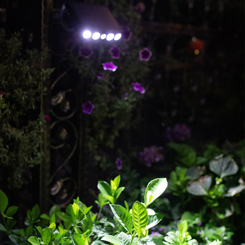 Solar Wall Light Motion Sensor Solar Lights Wall Lamp Garden Yard Light Outdoor Decor -Black shell white light