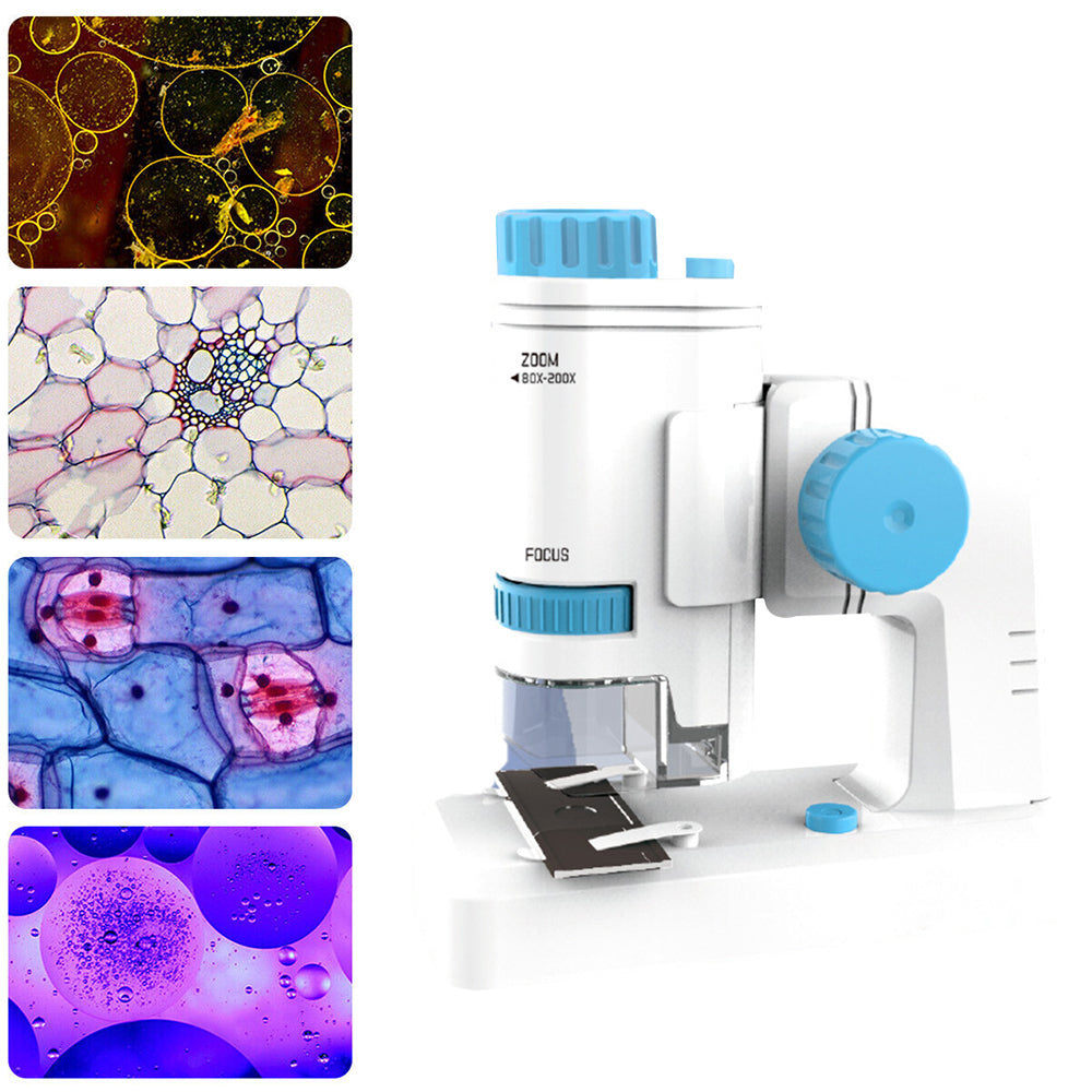 Toy Microscope Portable 80X-200XMagnification BeginnerLearning EducationToy with Basefor Toddler Child-Blue