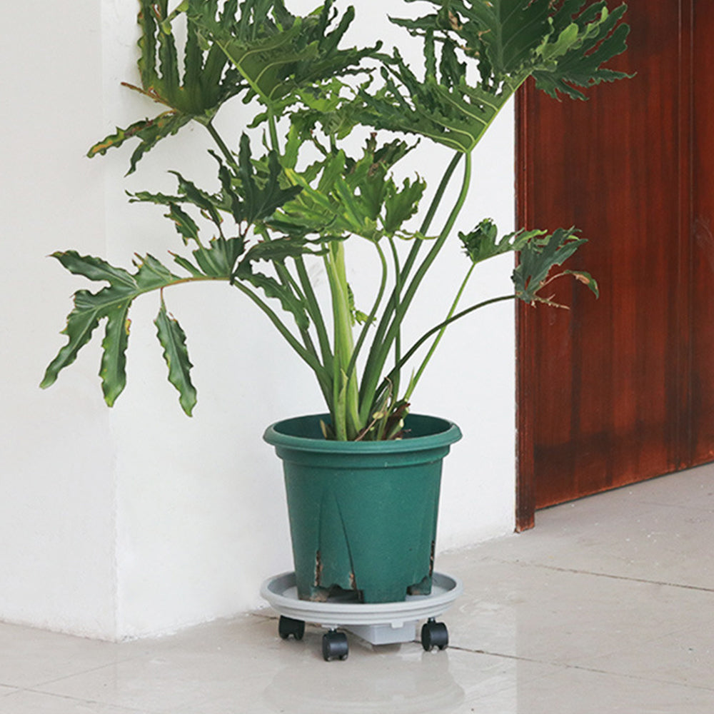 Flower Pot Caddy Plant Stand with Water Container and 4 Wheels Home Garden Rolling Planter Trolley