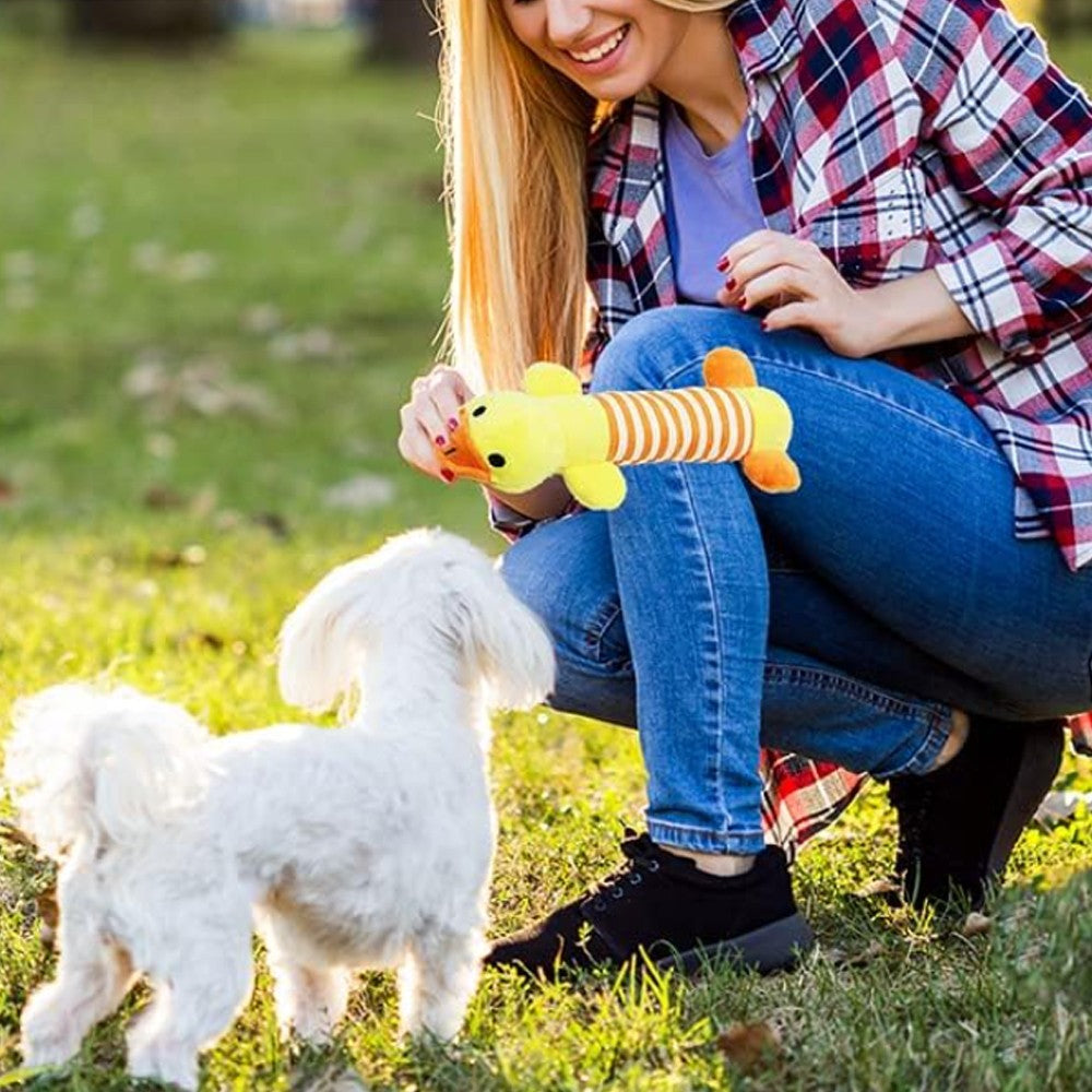 18Pcs Dog Chew Toys Set Pet Teething Toy Interactive Dog Toys