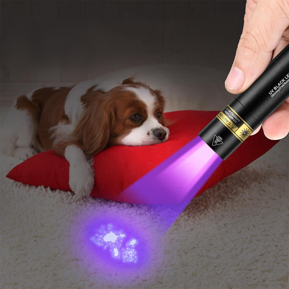 Portable UV Flashlight with USB-C Rechargeable Blacklight for Pet Stains, Resin Curing
