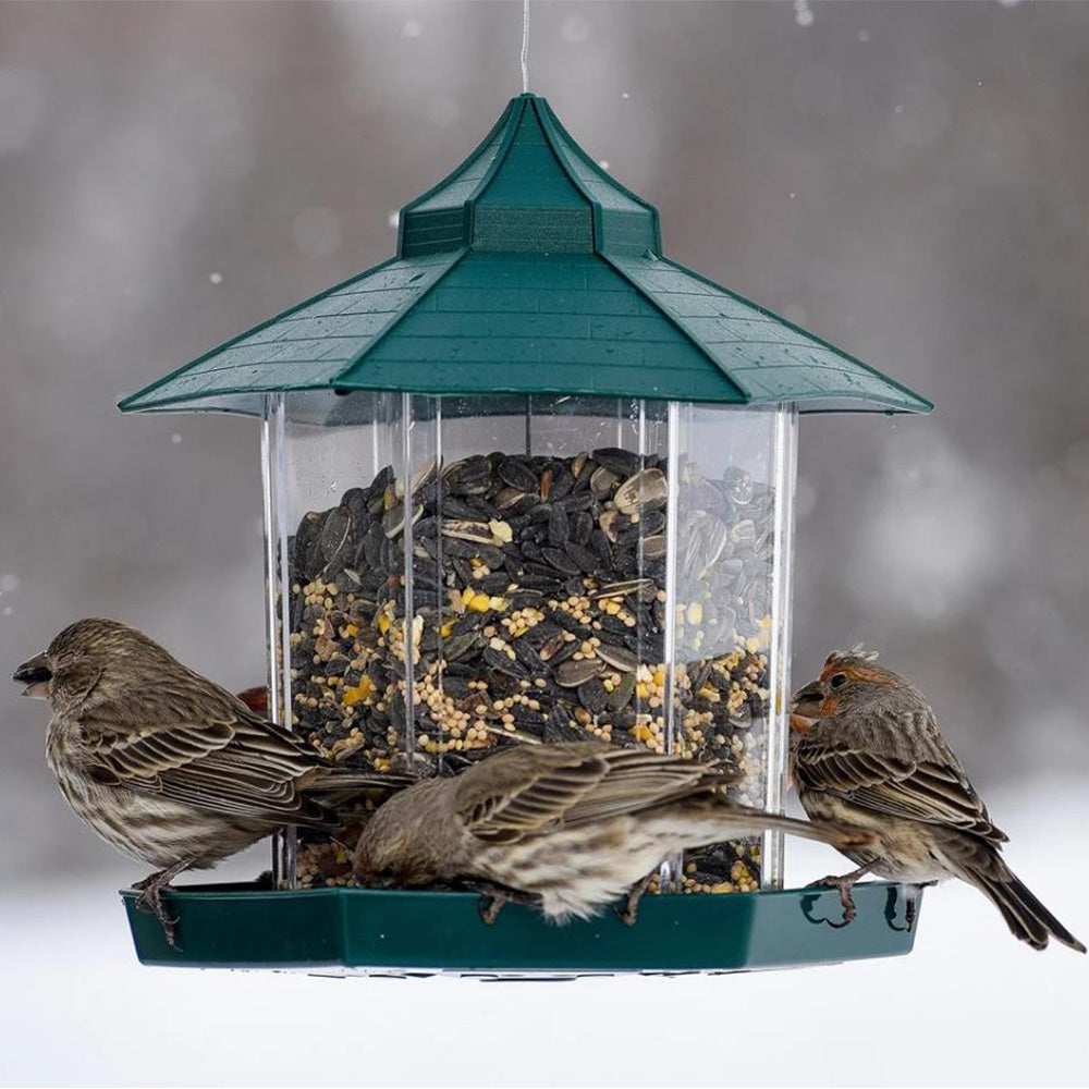 Outdoor Hanging Bird Feeder Gazebo Shape Seed Container Green