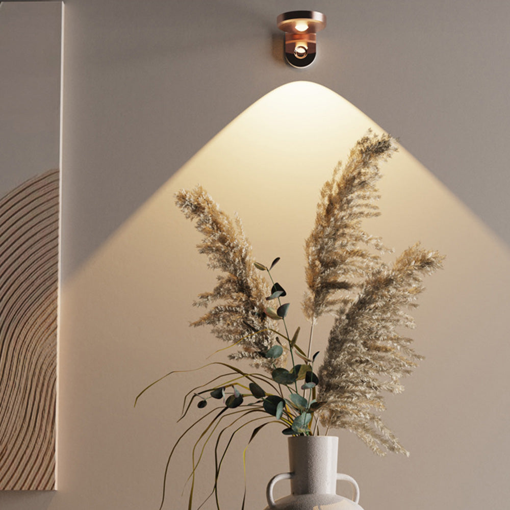Rotating Picture Light with 3 Light Modes