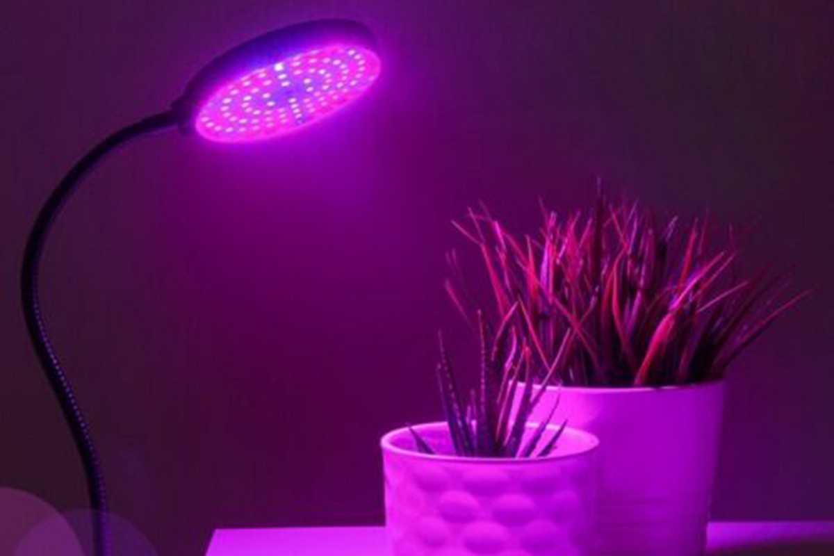 Indoor Plants LED Grow Lights Suitable Greenhouse Flowers Veg Succulents Potted Growth-One Head