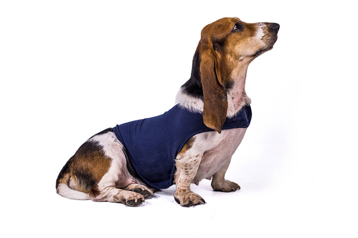 Dog?Anxiety?Jacket?Vest?Adjustable?Shirts?Calming?Pet?Emotional?Dogs?Clothing-Dark gray