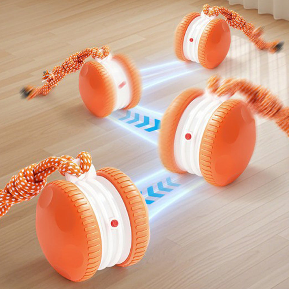 Interactive Pet Rolling Ball Toy Rechargeable Automatic Play Ball for Cats and Dogs-Orange