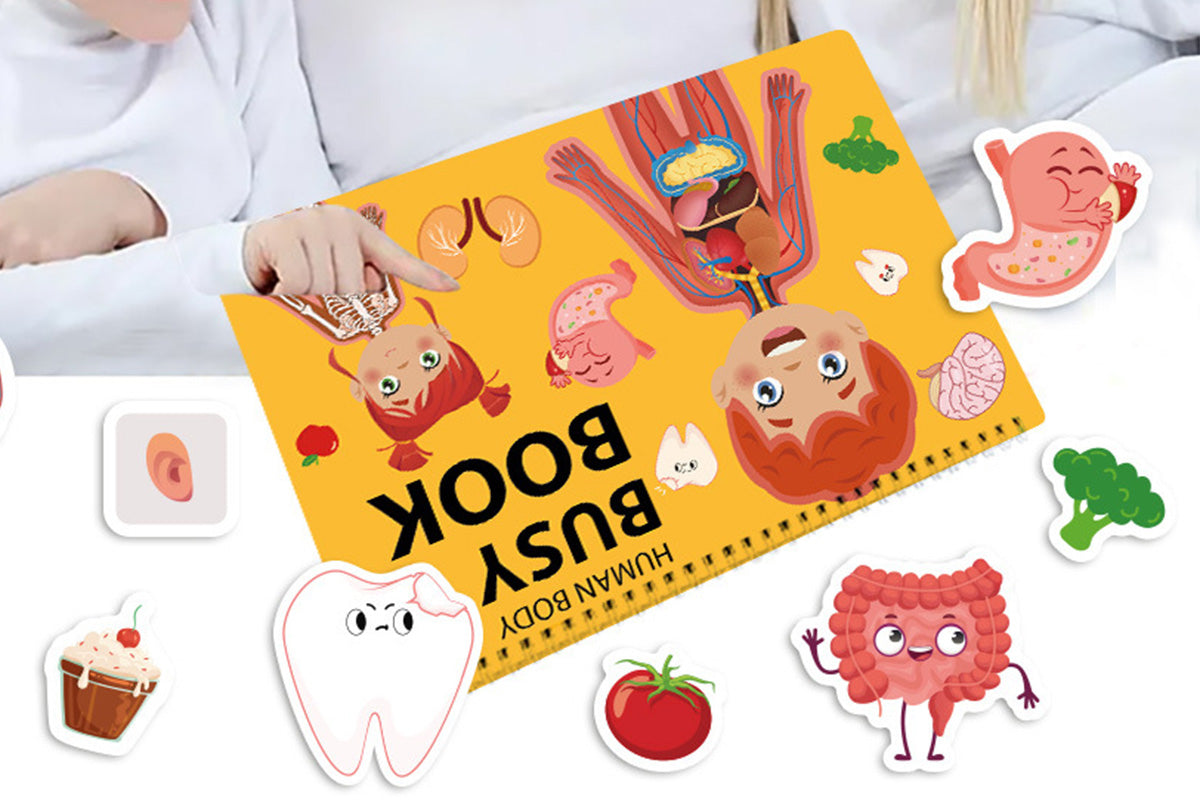 Montessori Busy Book Human Body Anatomy Book Learning Human Body Activities Book