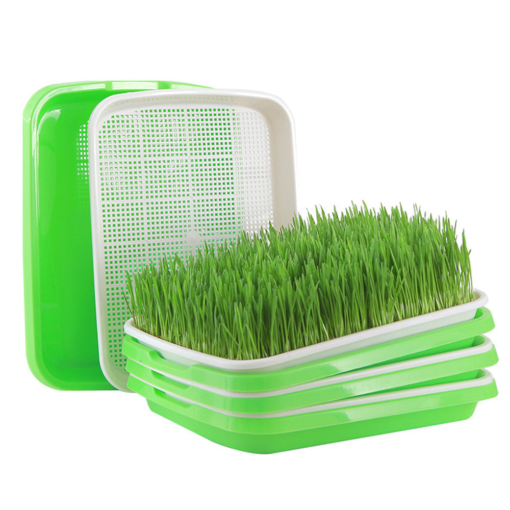 5Pcs Set Seed Sprouting Trays with Drain Holes Microgreens Growing Container Seed Germination Propagation Trays