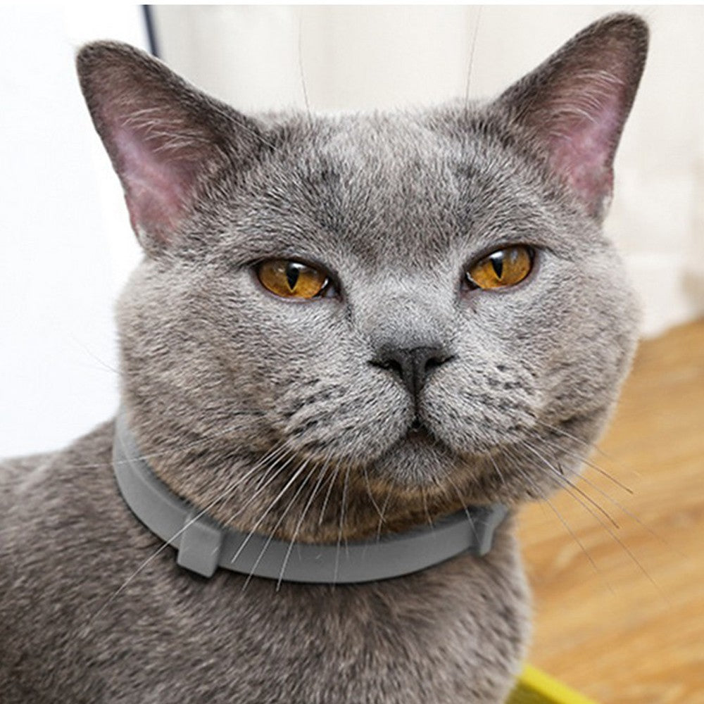 4Pcs 38cm Adjustable Flea Collar for Cats Flea and Tick Prevention Pets Collar