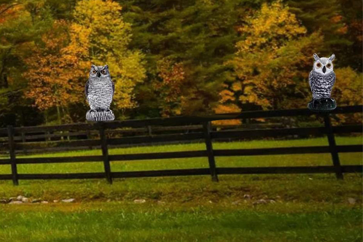 Large Fake Owl Decoy to Scare Birds Away Garden Bird Deterrents for Outside -White