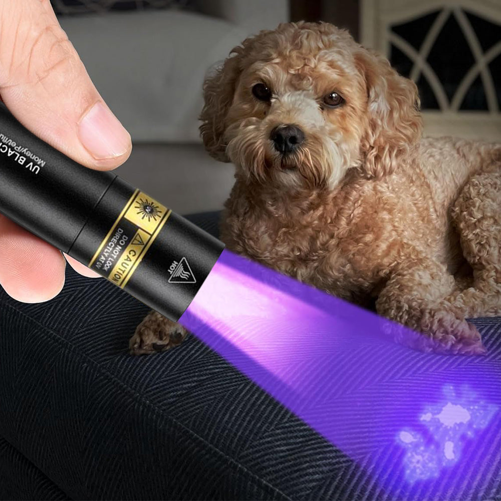 Portable UV Flashlight with USB-C Rechargeable Blacklight for Pet Stains, Resin Curing