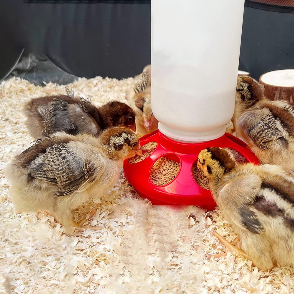 1L Chick Food Feeder and 1.5L Chicken Water Feeder Kit for Chick Aviaries