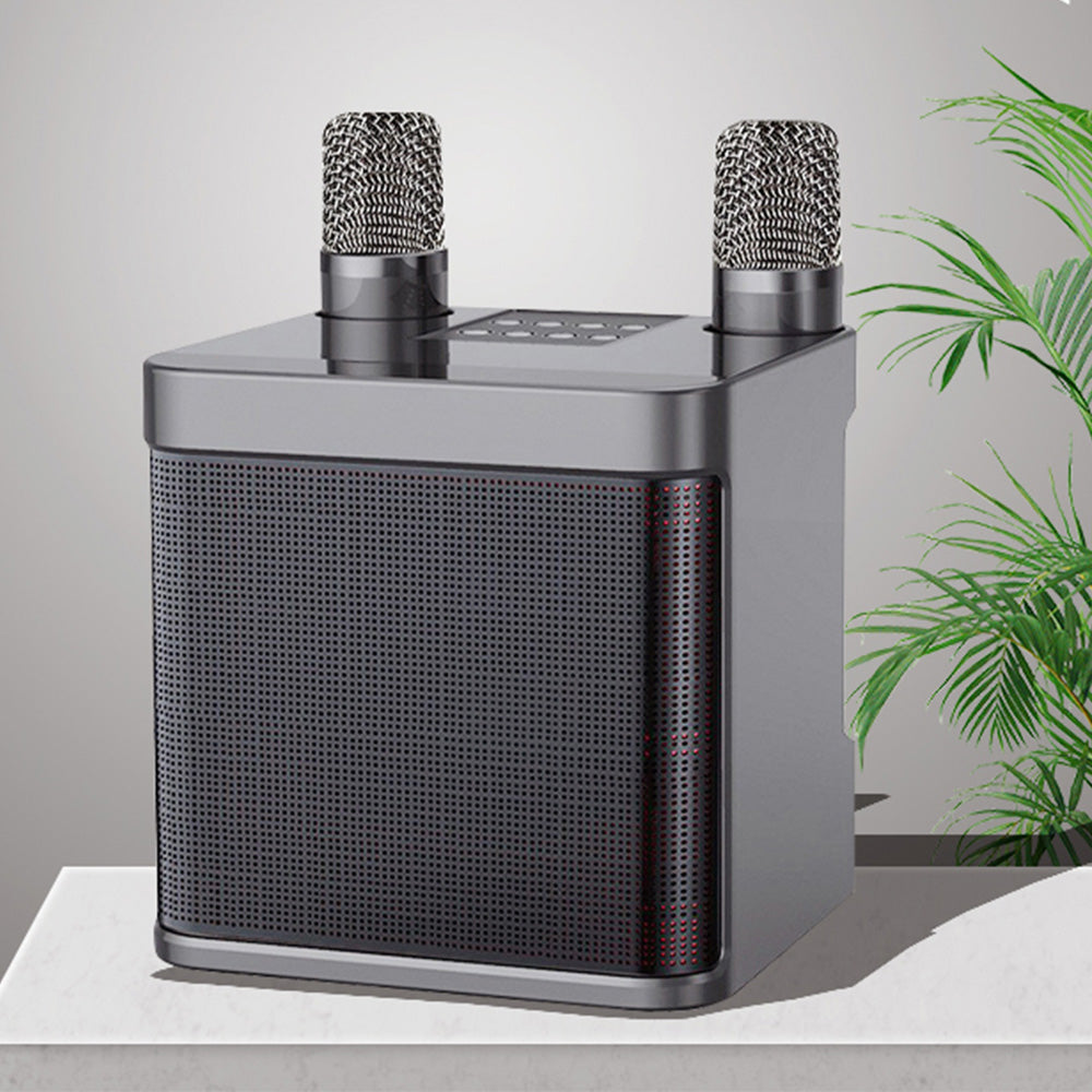 Portable Karaoke Machine with 2 Wireless Microphones Portable Bluetooth Speaker for Family Party Singing Black