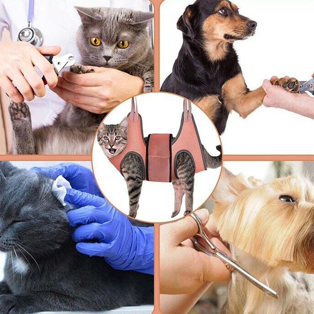 Small Pet Grooming Hammock Dog Cat Hanging Sling for Bathing Trimming Nailcare Orange