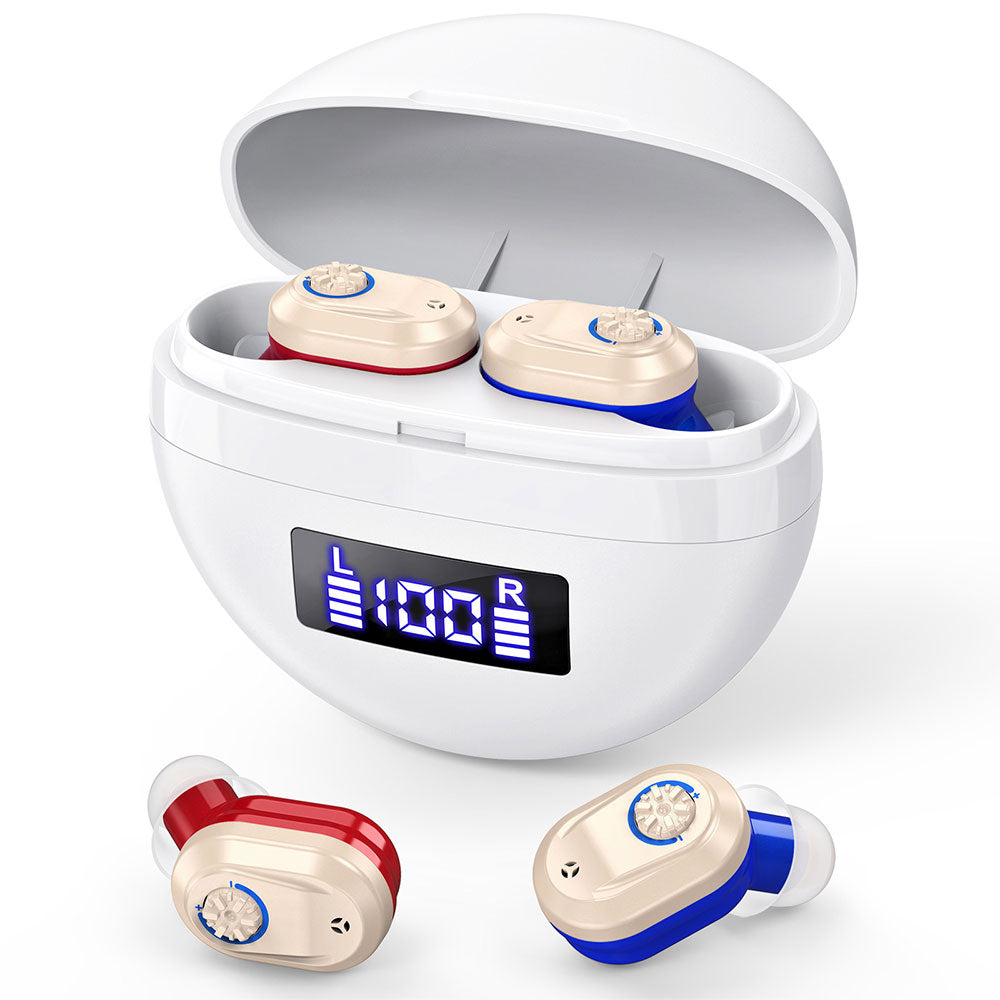 Pair of Invisible Digital Hearing Aids Rechargeable Mini Sound Enhancer Amplifier with Charging Case Style 3
