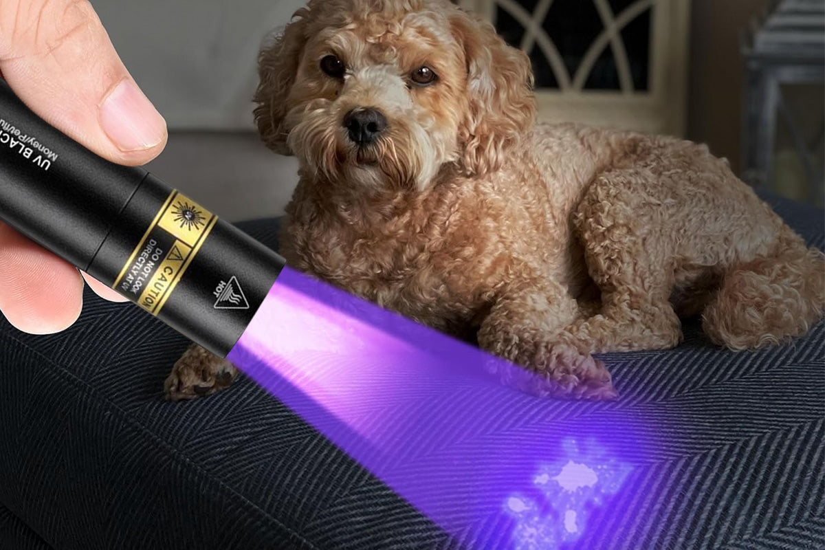 365nm UV Blacklight Flashlight Pet Urine Detector for Resin Rock Scorpion