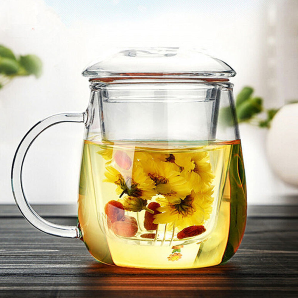Glass Tea Cup with Infuser and Lid Borosilicate Tea Mug for Loose Leaf Tea