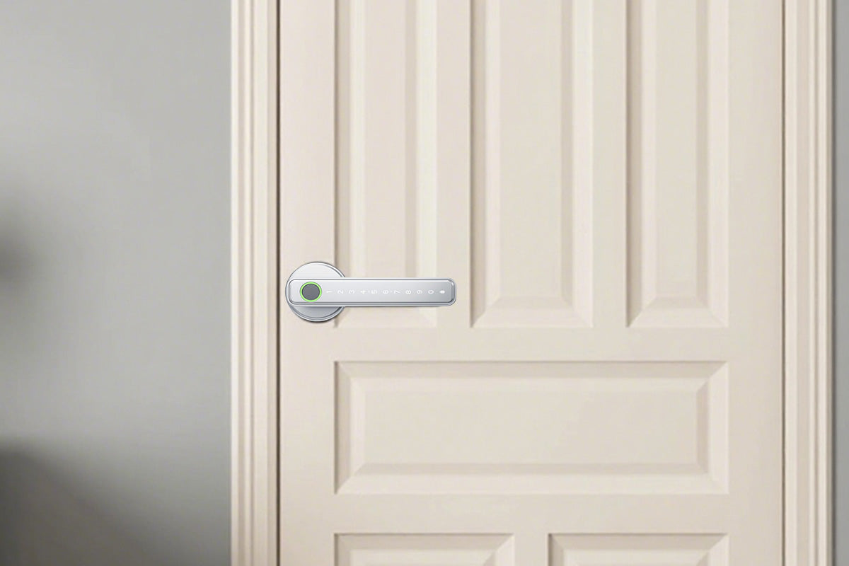 5 in 1 Smart Door Lock Fingerprint Door Knob with IC Cards and Backup Keys -Silver