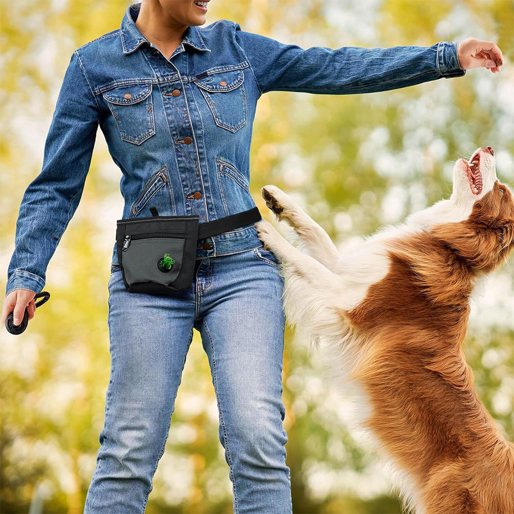 Hands-Free Dog Treat Pouch with Auto-Snap Closure Pet Snack Bag for Training Walking Black