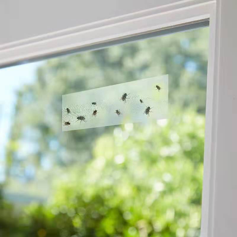 20PCS Clear Window Sticker Fly Trap Sticky Bug Catchers