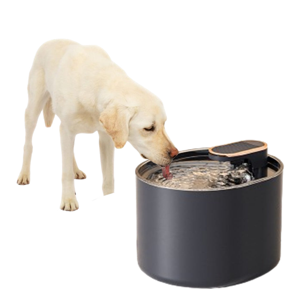 3L Pet Water Fountain Cat Dog Automatic Electric Drinking Dispenser Filter with 6 Replacement Filters Navy