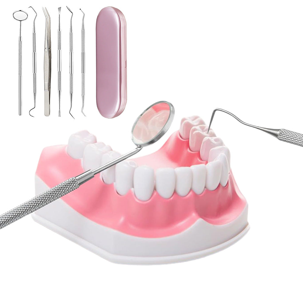 Professional Dental Tool Kit 6 Piece Stainless Steel Oral Care Set Pink
