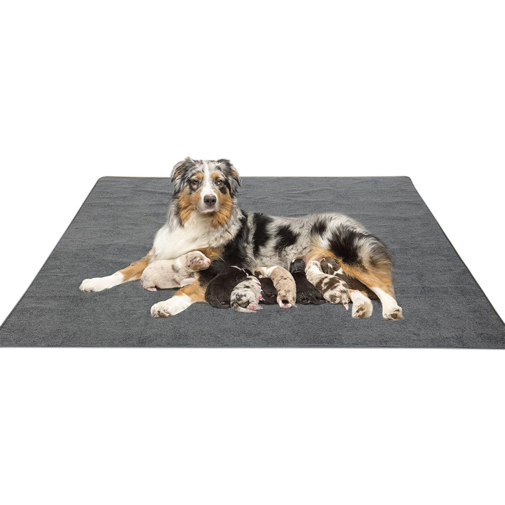 Coral Fleece Washable Dog Mat ââ‚?Non-Slip Reusable Pee Pad for Pets