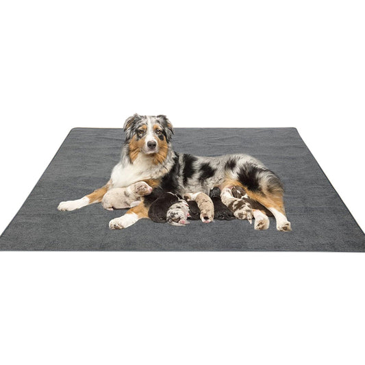 Coral Fleece Washable Dog Mat ââ‚?Non-Slip Reusable Pee Pad for Pets