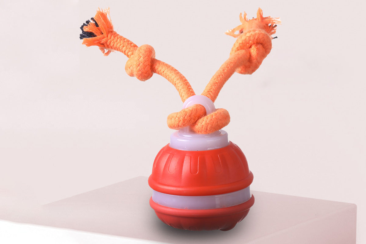 USB Rechargeable Motion Activated Rolling Dog Ball Toy Orange