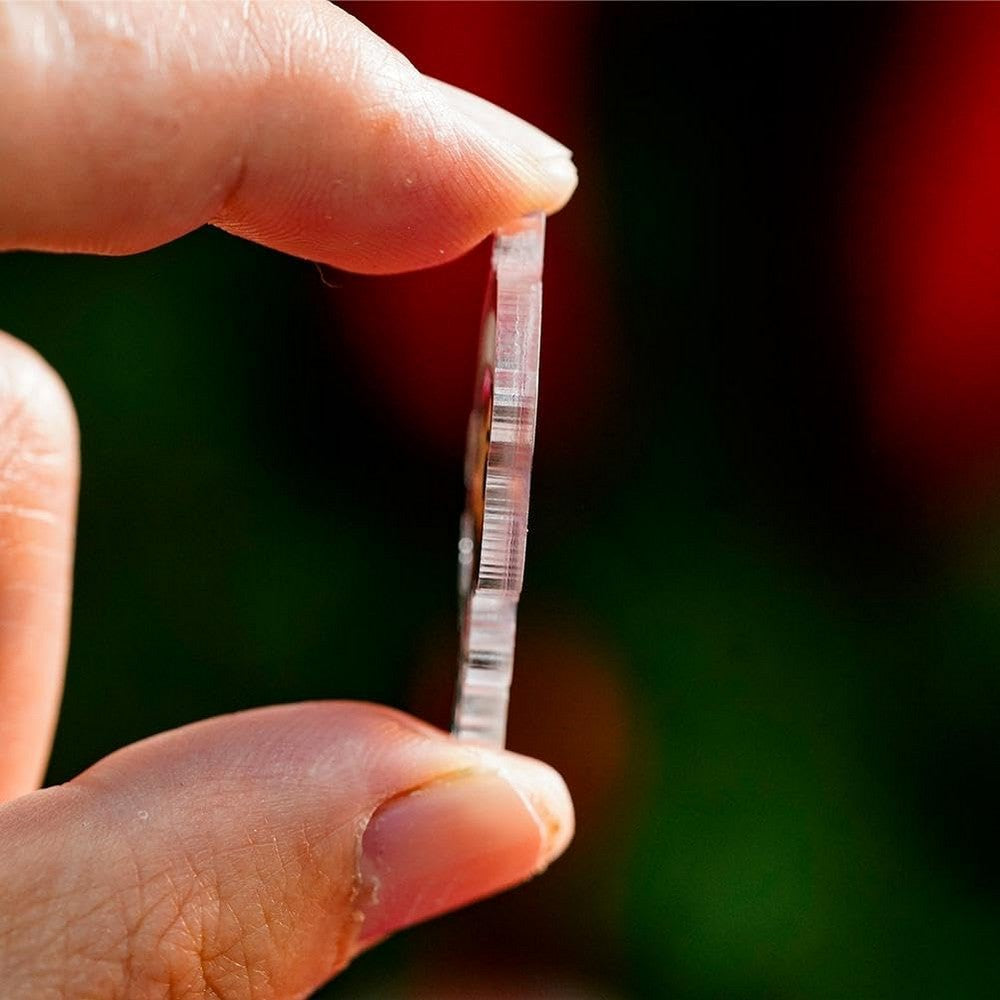 Guitar Christmas Advent Calendar with 24 Daily Surprises Countdown Calendar