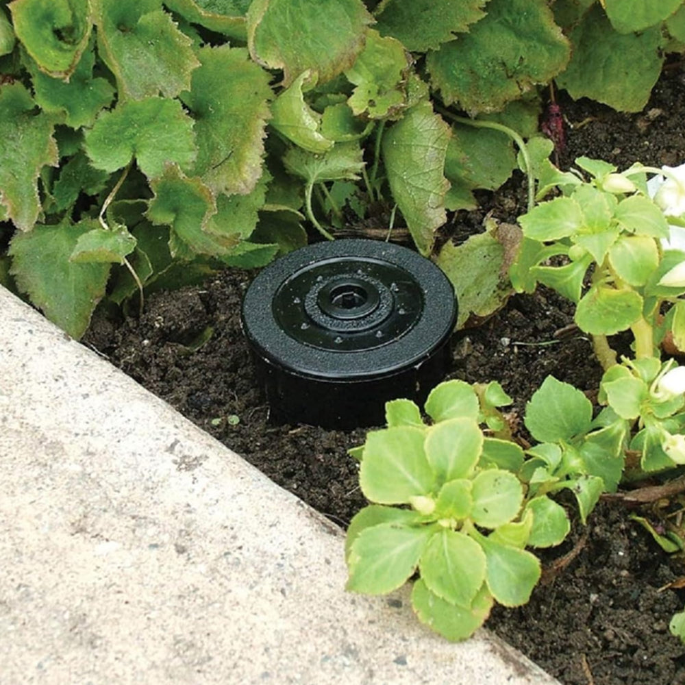 Key Cash Hider Sprinkler Head Style Secret Key Holder