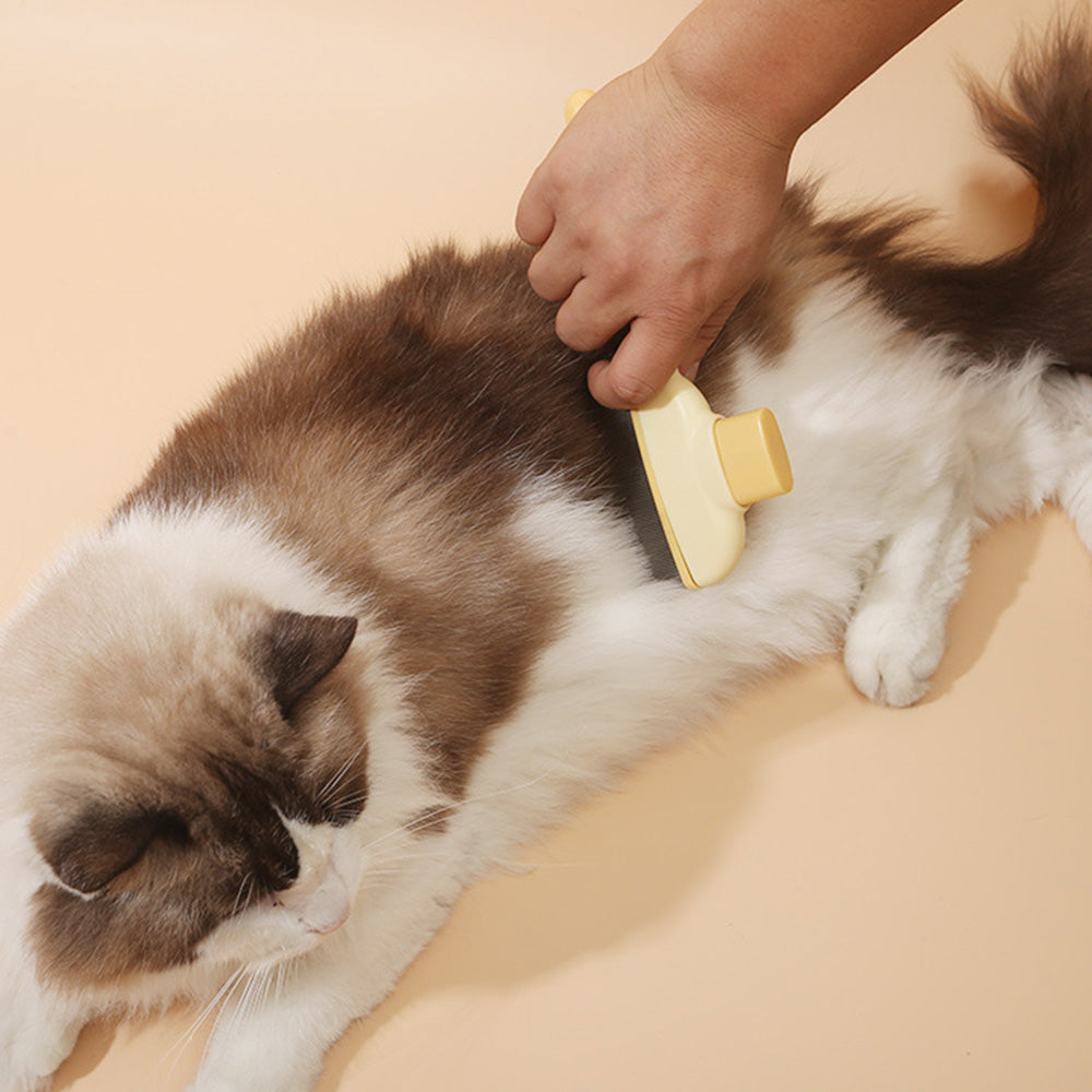 2Pcs Set Flea Combs for Cats Dogs Pet Grooming Brush for Hair Shedding