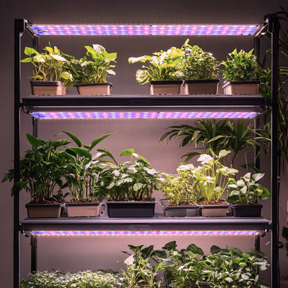 LED Plant Grow Light Full Spectrum for Indoor Plants