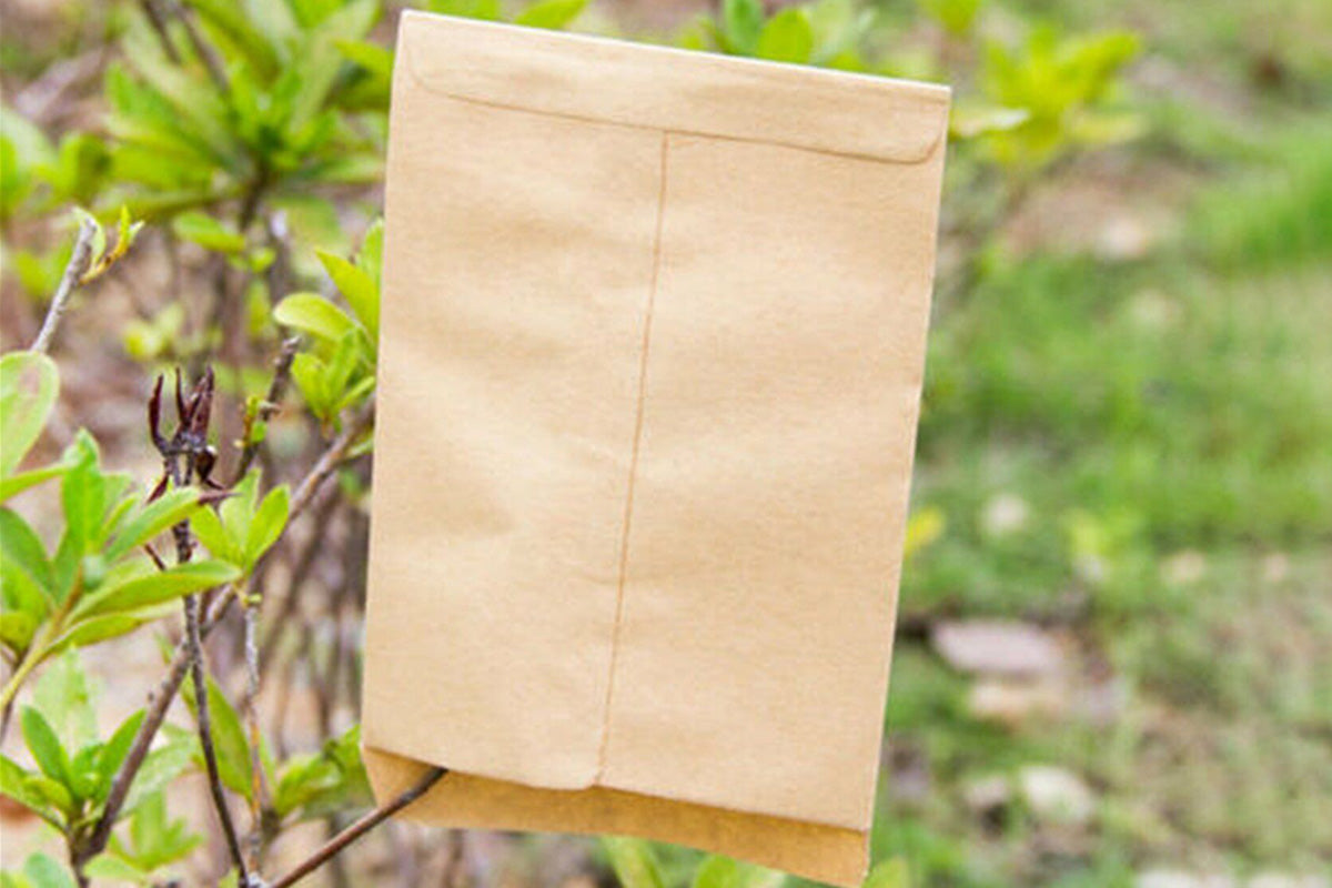 100 Piece Small Kraft Paper Coin and Seed Envelopes