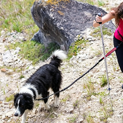 2 in 1 Hands Free Running Dog Leash for Walking Jogging-Red