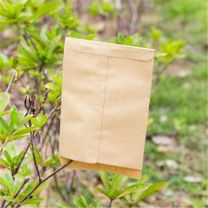 100-Pack Kraft Paper Seed Envelopes Garden Home Storage Bags Mini Envelopes 6x11cm for Seeds Jewelry
