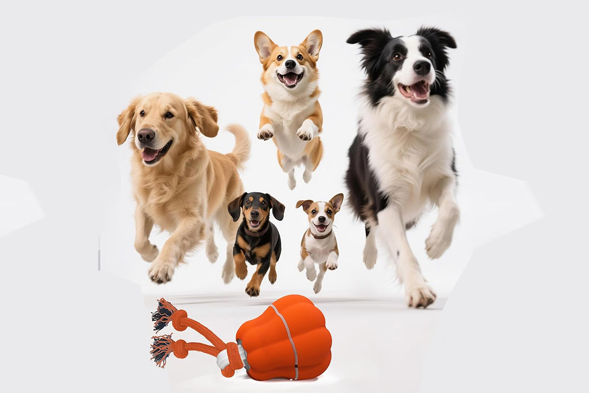 Interactive Dog Toy Ball Dog Rolling Ball with Motion Activated Moving Puppy Toy-Pumpkin