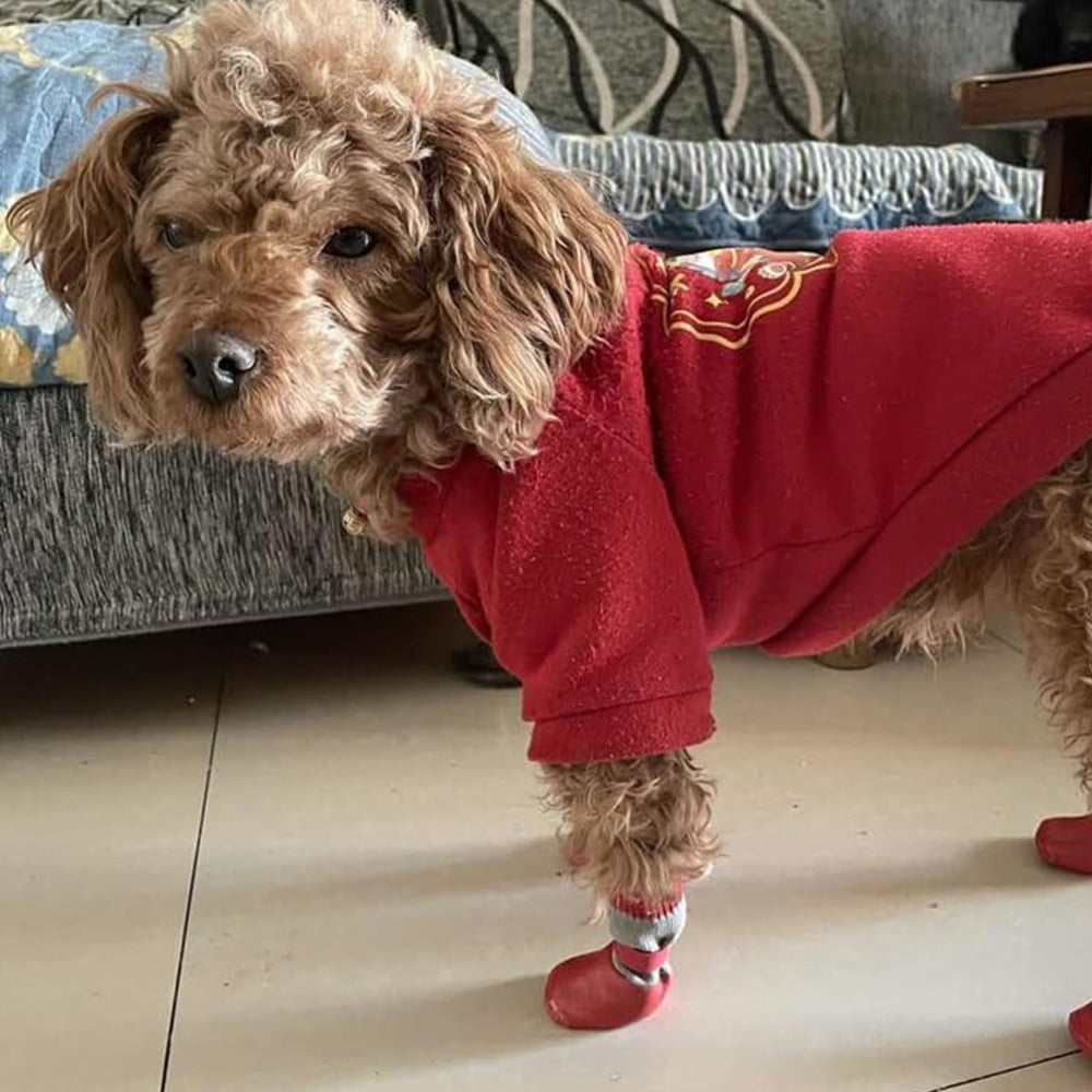 Waterproof Anti Slip Pet Shoes with Rubber Sole for Indoor and Outdoor Use Red