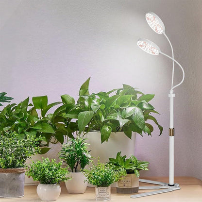LED Grow Light with Dual Heads Full Spectrum Adjustable Plant Lamp for Indoor Plants White