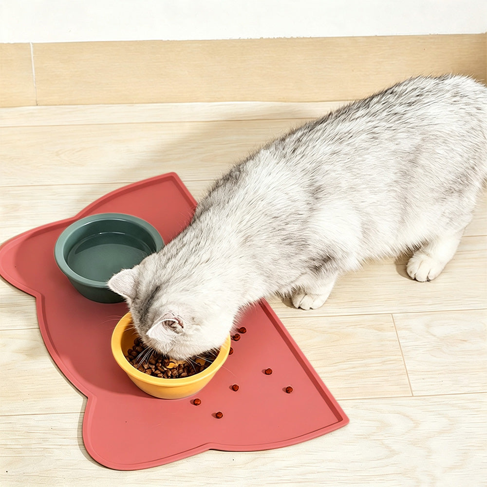 Silicone Pet Feeding Mat with Raised Spill Edge - Pink